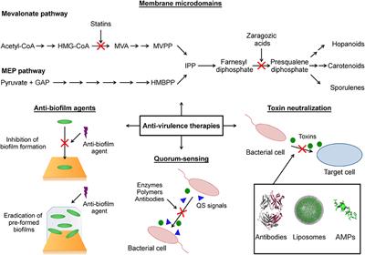 Recent Advances in Anti-virulence Therapeutic Strategies With a Focus on Dismantling Bacterial Membrane Microdomains, Toxin Neutralization, Quorum-Sensing Interference and Biofilm Inhibition